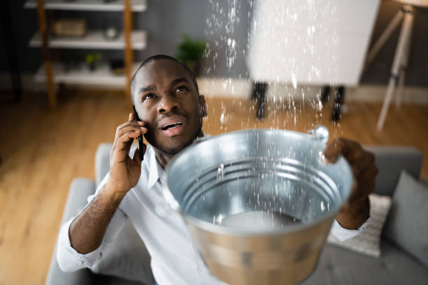 Best Commercial water damage restoration  in Oswego, IL