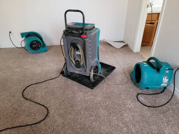 Best Water damage restoration near me  in Oswego, IL