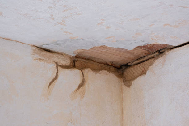Best Carpet water damage restoration  in Oswego, IL
