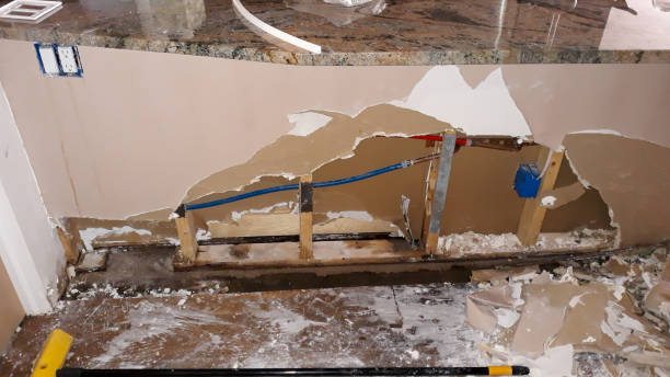 Best Flood damage cleanup  in Oswego, IL