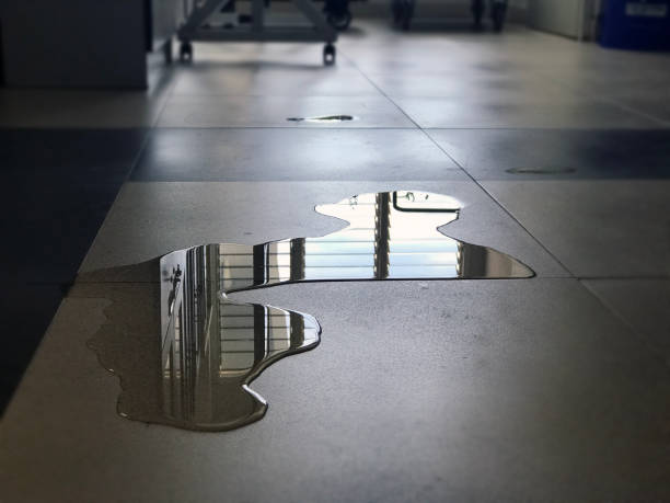 Best 24/7 water damage repair  in Oswego, IL