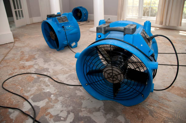 Best Flood damage cleanup  in Oswego, IL