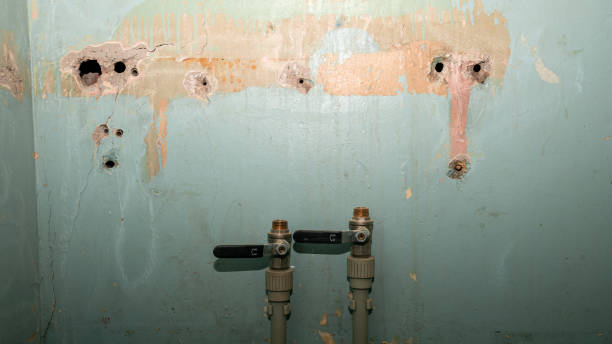 Oswego, IL Water damage restoration Company