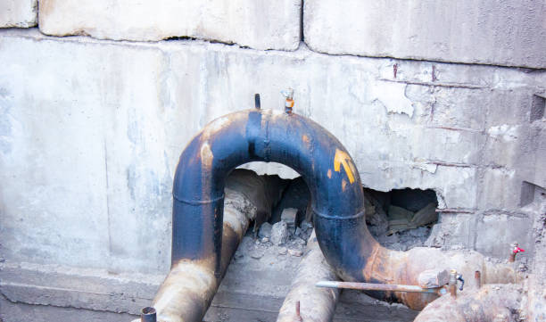 Best Basement water damage restoration  in Oswego, IL